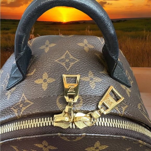 Louis Vuitton Monogram Palm Springs Backpack PM - Picture 8 of 17